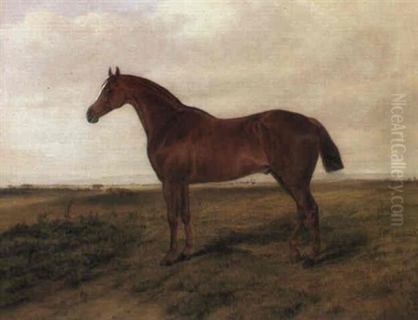 Cheval Hunter Dans Un Paysage Oil Painting by William Snr Luker