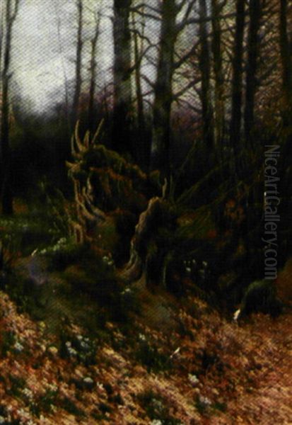 Nyudsprungne Anemoner  Ved En Traestub I Skovbunden Oil Painting by Carl Ove Julian Lund