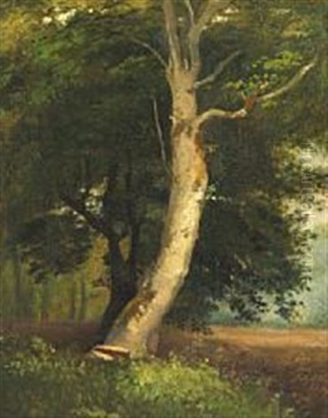 Forest Interior At Bakkehuset Oil Painting by Johan Thomas Lundbye