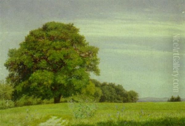 Udsigt Over Dansk Sommerlandskab Oil Painting by Marie Antoinette Henriette Luplau