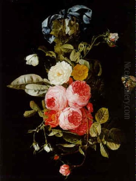 A Swag Of Roses Hanging From A Blue Ribbon With A Red Admiral And A Cabbage White Oil Painting by Christiaan Luycks