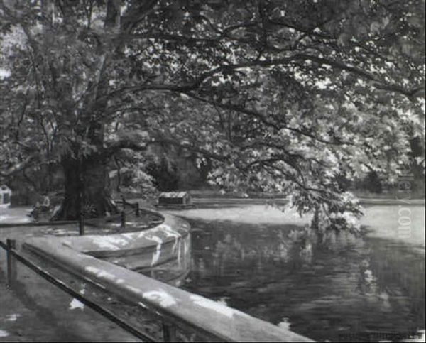 Partie Aus Dem Schwarzenbergpank Oil Painting by Theodor Maader