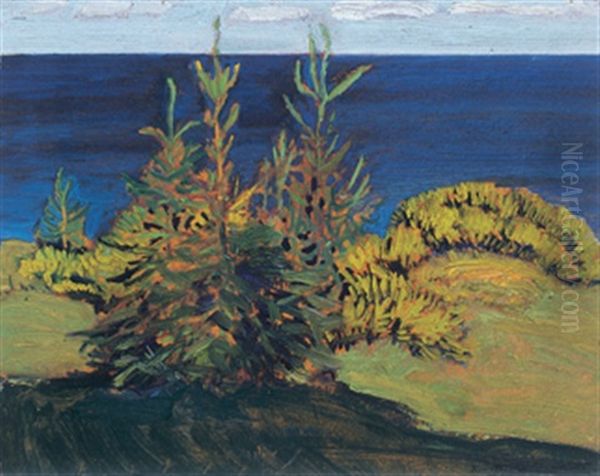 Atlantic Shore, Nova Scotia Oil Painting by James Edward Hervey MacDonald