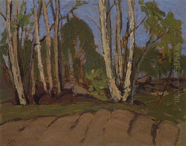 Birches Oil Painting by James Edward Hervey MacDonald