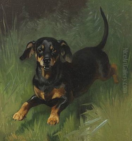 A Dachshund Oil Painting by Adolf Heinrich Mackeprang