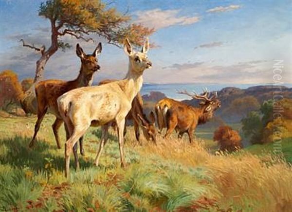 Deer In Dyrehaven (the Deer Garden) North Of Copenhagen Oil Painting by Adolf Heinrich Mackeprang