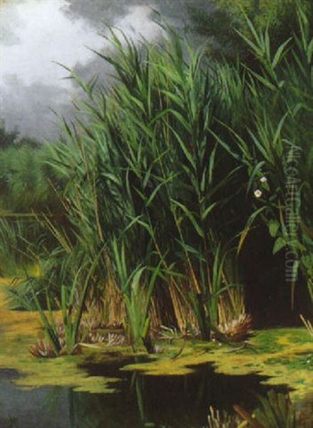 Sivbevokset Sobred Oil Painting by Adolf Heinrich Mackeprang