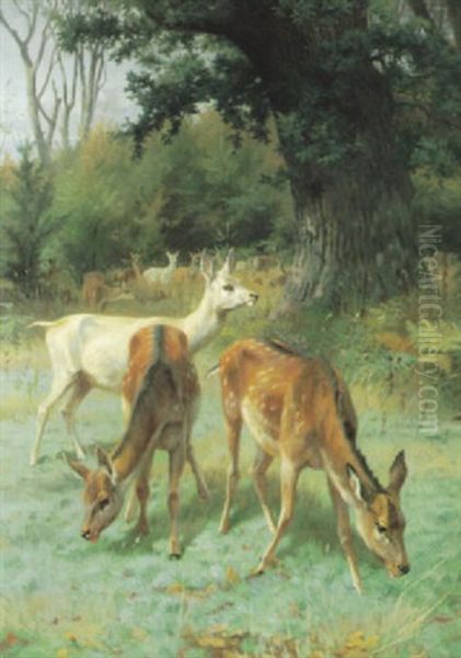 Rotwildrudel Auf Einer Lichtung Unter Ausladender Eiche Oil Painting by Adolf Heinrich Mackeprang