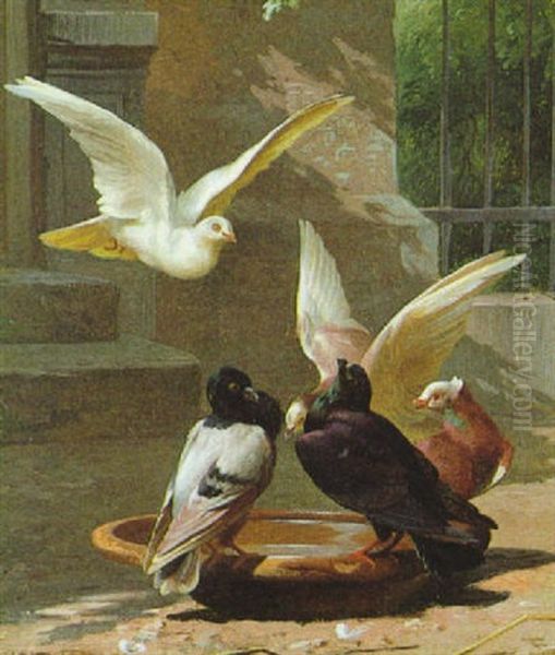 Tauben Oil Painting by Adolf Heinrich Mackeprang