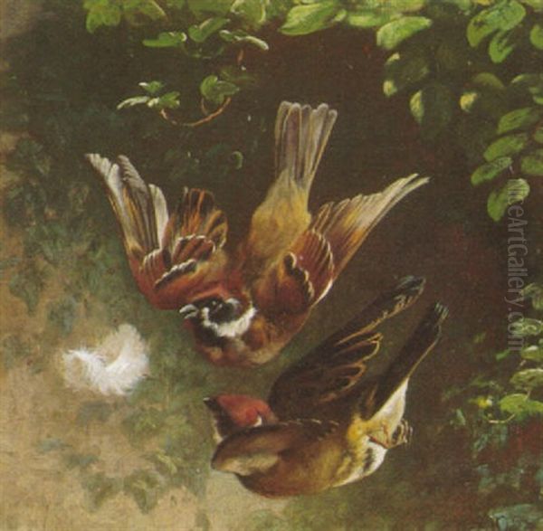 To Fugle Flyver Efter En Fjer Oil Painting by Adolf Heinrich Mackeprang