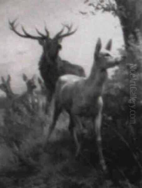 Stag With Deer Oil Painting by Adolf Heinrich Mackeprang