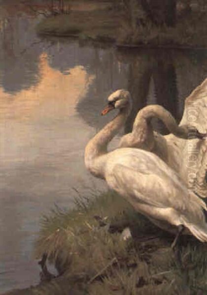 Svanepar Ved En S+bred Oil Painting by Adolf Heinrich Mackeprang