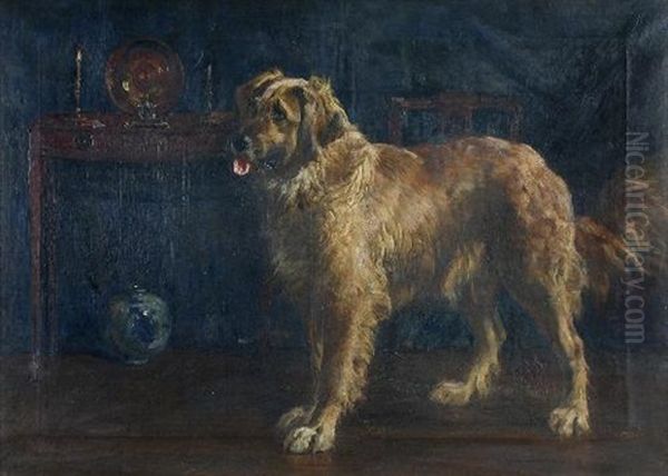 Study Of A Golden Retriever In A Drawing Room Oil Painting by Percy Thomas Macquoid