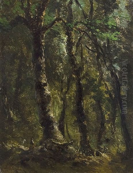 Bosco Oil Painting by Carlo Mancini