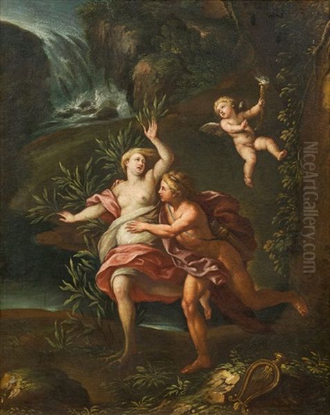 Apollo And Daphne Oil Painting by Carlo Maratta or Maratti