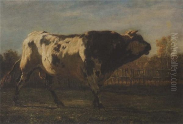 A Study Of A Bull In A Field Oil Painting by Emile Van Marcke De Lumman