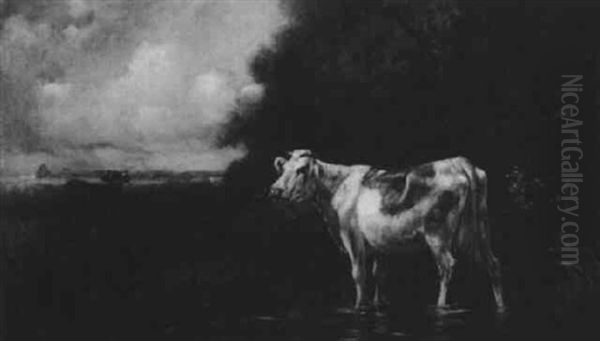 Cows Wading In A Stream Oil Painting by Emile Van Marcke De Lumman