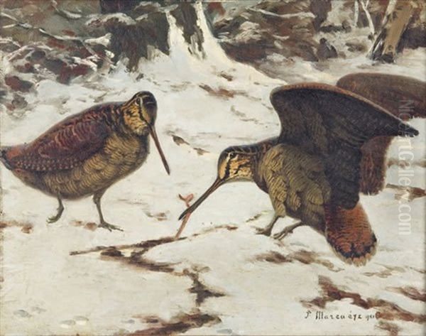 Deux Becasses Oil Painting by Paul Marcueyz