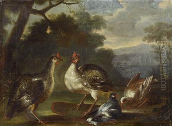 Wild Birds In AForest. Oil Painting by Nicasius Bernaerts