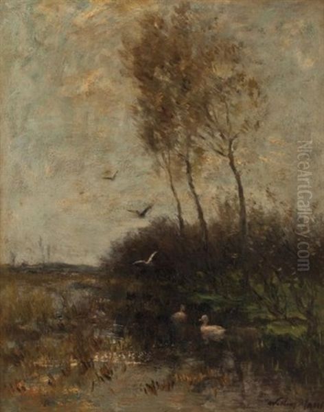 Ducks On A Pond Oil Painting by Willem Maris