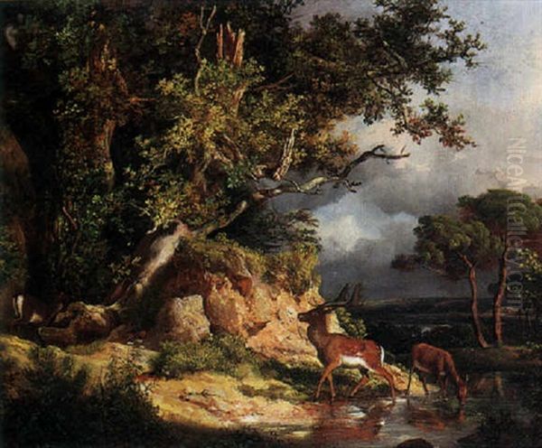 Deer Watering Oil Painting by Andras Marko