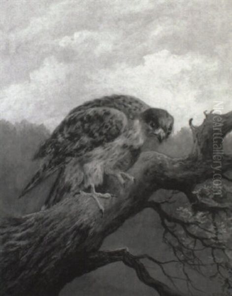 Rovfugl Pa En Gren Oil Painting by Henry Stacy Marks