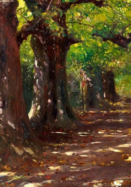 Sommerliche Allee Oil Painting by Carl von Marr