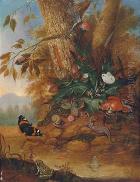 Sous-bois-stillleben Mit Schmetterling, Libelle, Eidechse Und Frosch Oil Painting by Otto Marseus van Schrieck