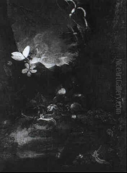 Eidechsen, Schnecken Und Schmetterlinge An Einem Bach Im    Waldgrund Oil Painting by Otto Marseus van Schrieck