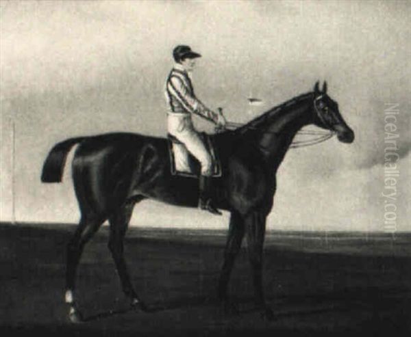 The Racehorse Albert With Jockey Up Oil Painting by Lambert Marshall