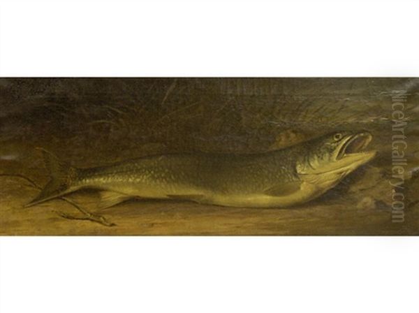 Untitled - Trout Oil Painting by Thomas Mower Martin