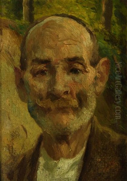 Testa Di Vecchio Oil Painting by Pompeo Massani