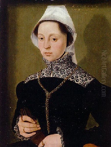 Portrait Of A Lady Wearing A Black Dress, A White Linen Cap And A Gold Chain Oil Painting by  Master of the 1540s