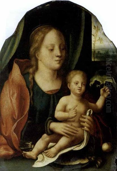 Madonna Con Bambino E Un Pappagallo Oil Painting by Master of the Parrot