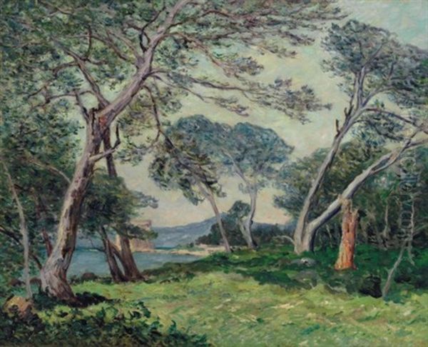Les Pins De L'ile St. Honorat (alpes-maritimes) Oil Painting by Maxime Maufra