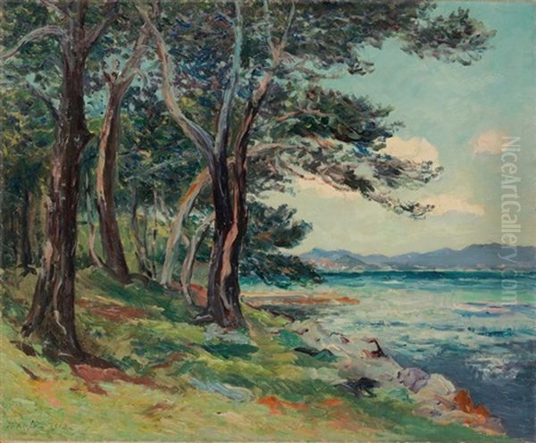 Les Vieux Sapins (ile St. Honorat) Alpes Maritimes Oil Painting by Maxime Maufra