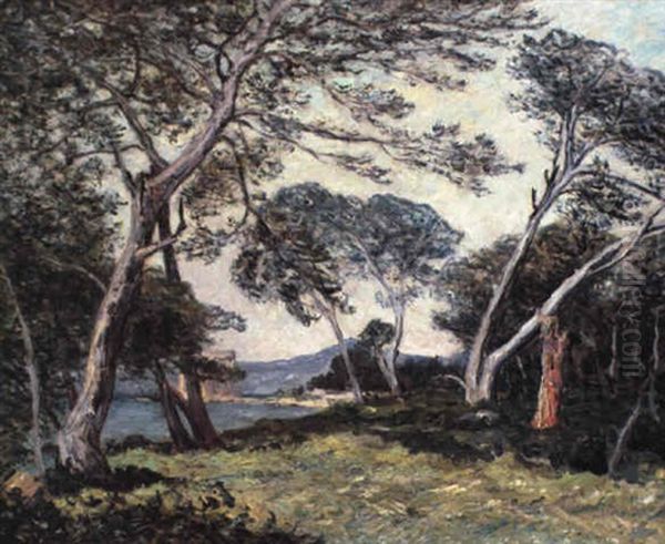 Les Pins De L'ile St. Monorah Oil Painting by Maxime Maufra