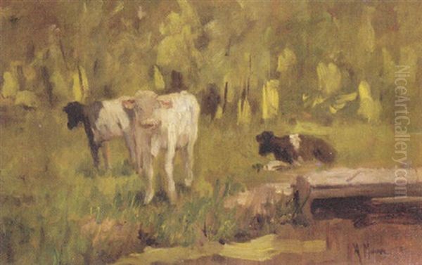 Calves In A Meadow Oil Painting by Anton Mauve