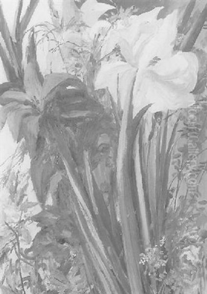 Amaryllisstilleben Oil Painting by Max Mayrshofer