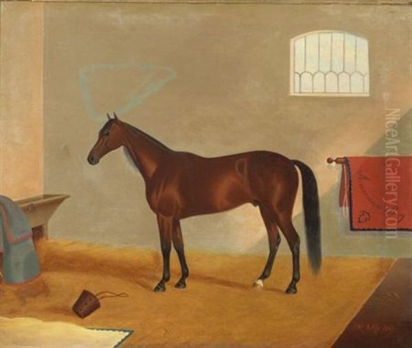 American Boy/an Equine Portrait Oil Painting by James J. Mcauliffe