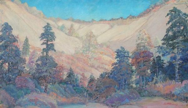 Canyon Scene With Pines And Blue Sky Oil Painting by James Edwin Mcburney