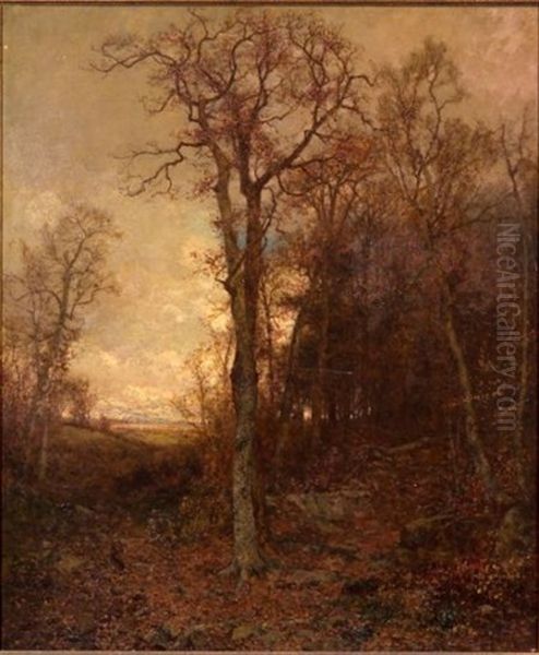 Jackrabbit On A Woodland Path Oil Painting by Jervis McEntee