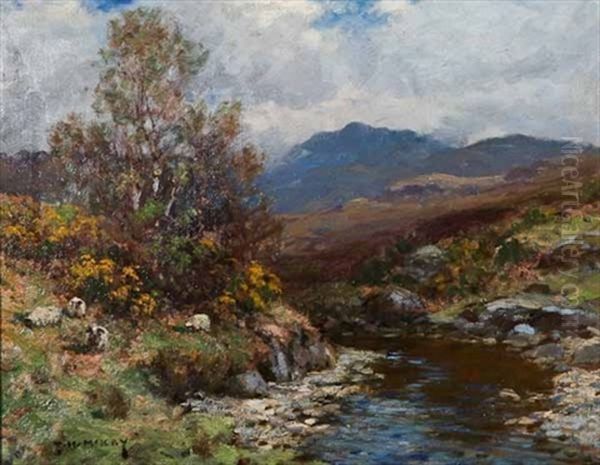 Sheep In An Argyll Landscape Oil Painting by Thomas Hope Mckay