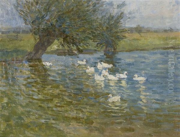 Ducks On A Pond Oil Painting by Helen Galloway Mcnicoll