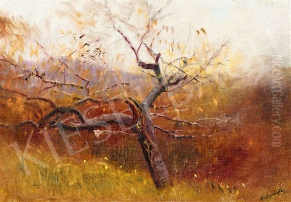 View From The Hill (autumn Landscape) Oil Painting by Laszlo Mednyanszky