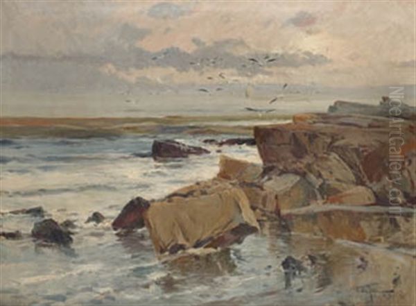 Vista De Playa Con Acantilado, Argentina Oil Painting by Eliseo Meifren y Roig