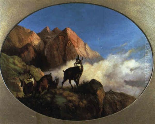 Gamsrudel Im Hochgebirge Oil Painting by Wilhelm Melchior
