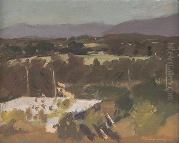 The Hills Oil Painting by Duncan Max Meldrum