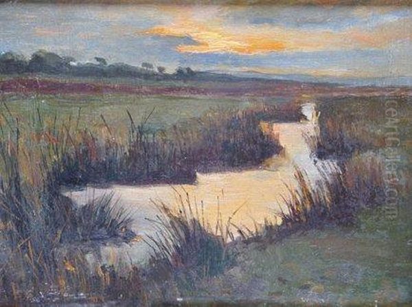 Le Marais De Saint-omer Oil Painting by Abel Bertram
