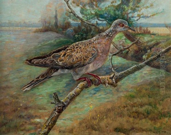 Tourterelle Branchee Oil Painting by Edouard Paul Merite